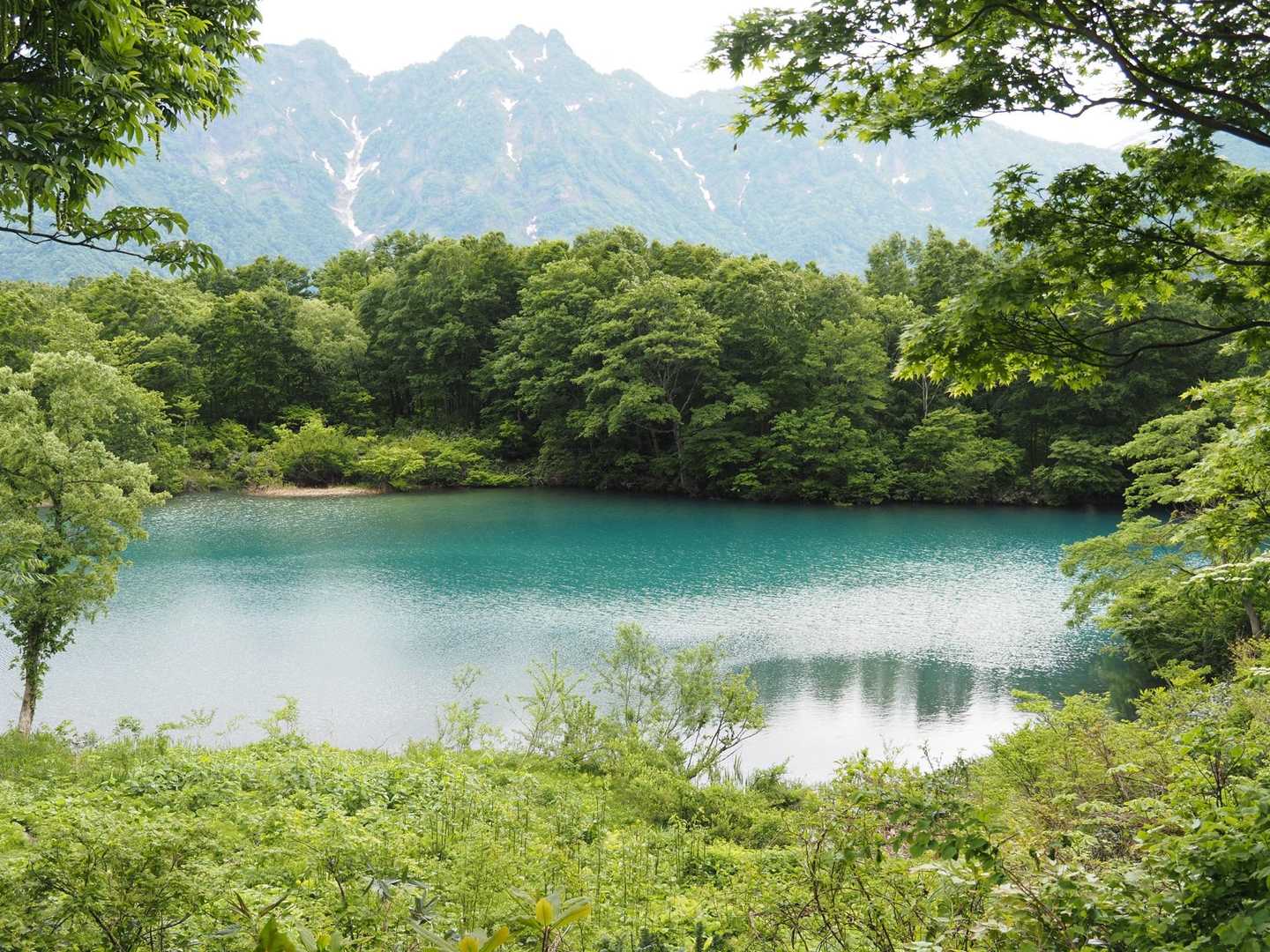 白池が本当に綺麗で...エメラルドグリーンで...
ゆっくり堪能したいので帰りに寄ろう✨