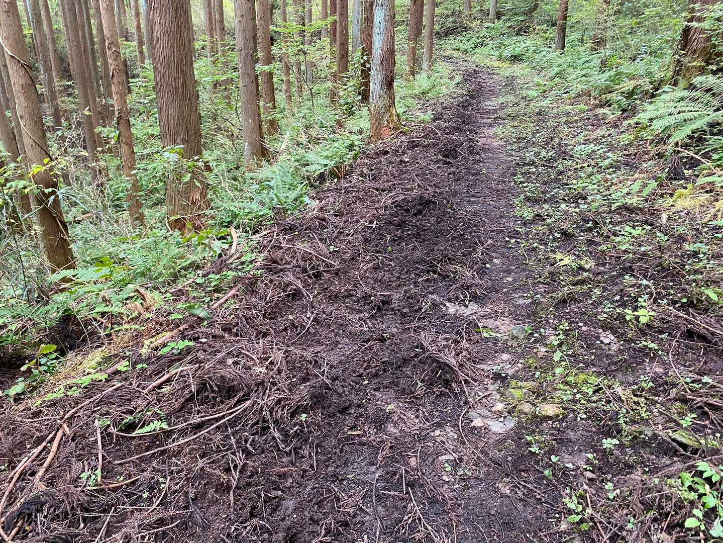 かなりの距離、派手に🫢