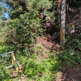 右に道あり。看板が紛らわしい。