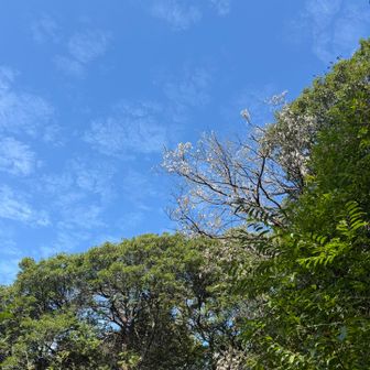 涼しかった
