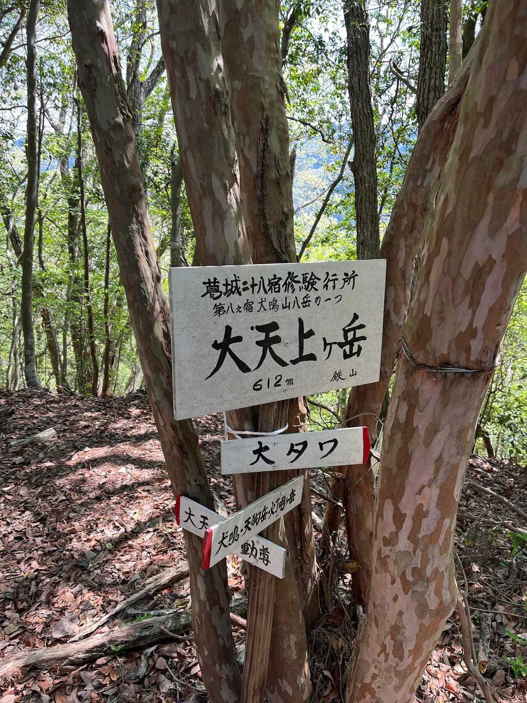 3ピーク目