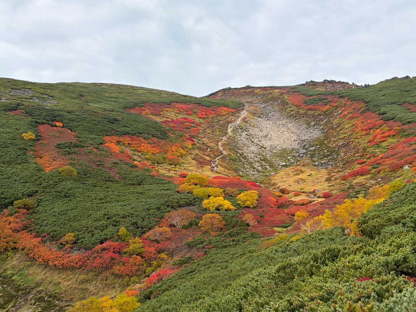 赤岳登山口-第一花園-赤岳-北海岳-黒岳-七合目リフト駅 縦走コースの写真