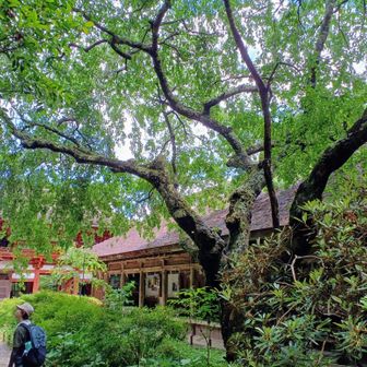 吉野水分(よしのみくまり)神社…400年前の様式、趣深さが凄い。
