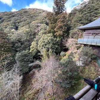 樹齢1000年を数える
一本杉が見えます