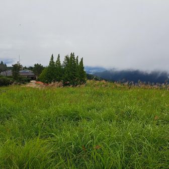 金剛山みれんかった～