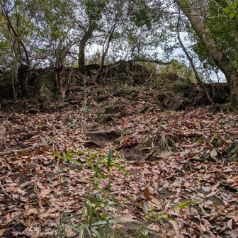 宮原山から少し下って障子ヶ岳手前の急坂。
もうすでに足が〜😂