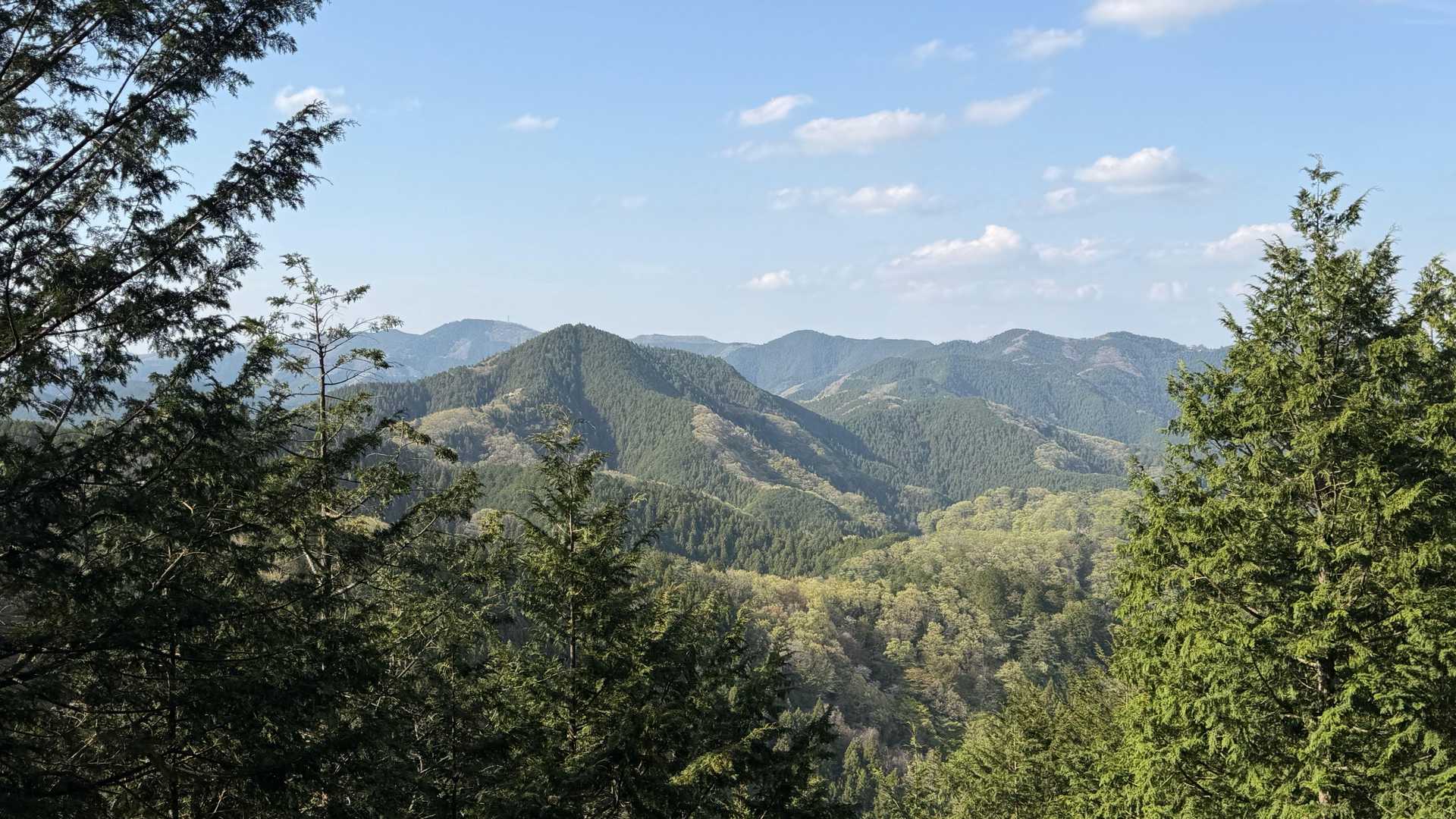 正丸駅-伊豆ヶ岳登山口-伊豆ヶ岳-山伏峠-前武川岳-武川岳 縦走コースの写真