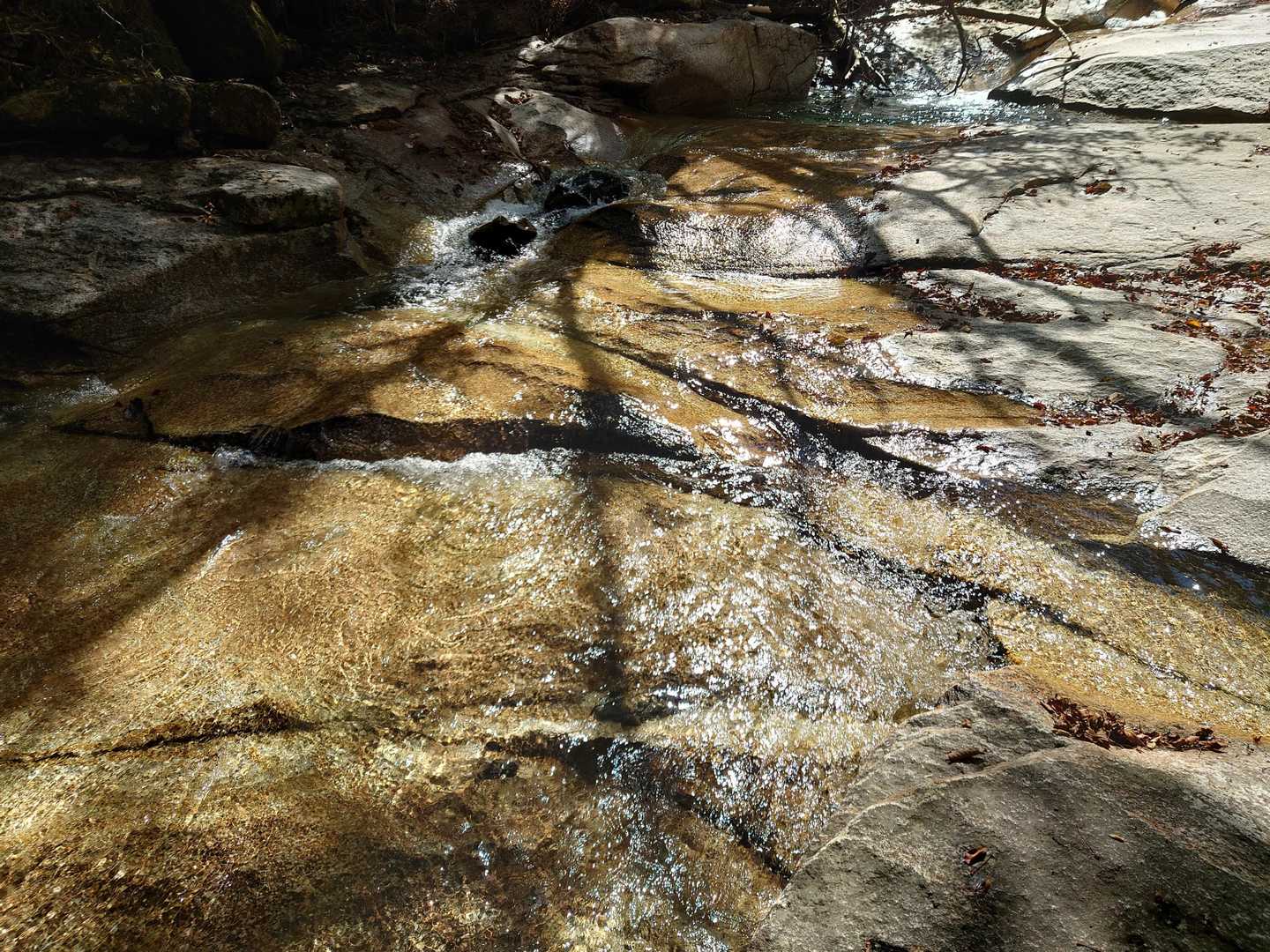 鉾岳 周回コースの写真