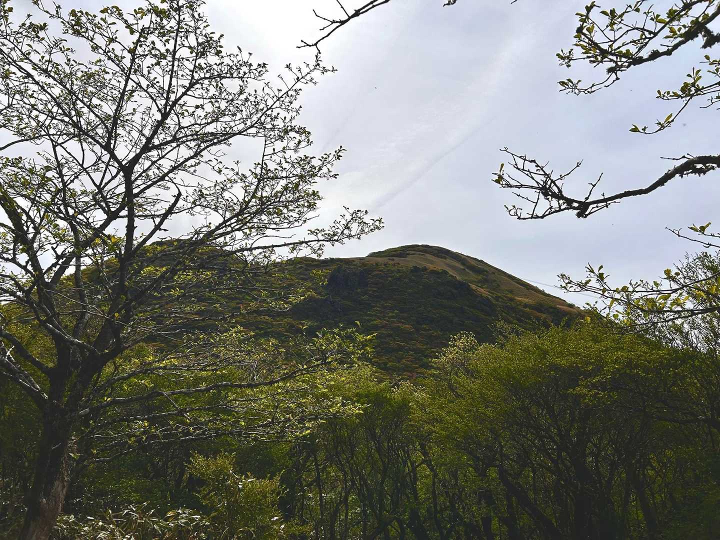 眺望が開けて駒ヶ岳