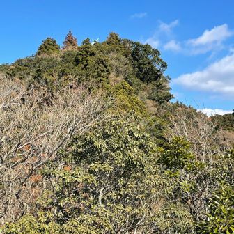 竈門岩から見る山頂付近