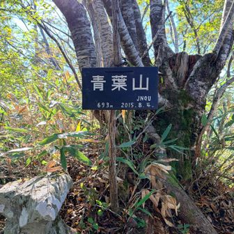 青葉山登頂🎶