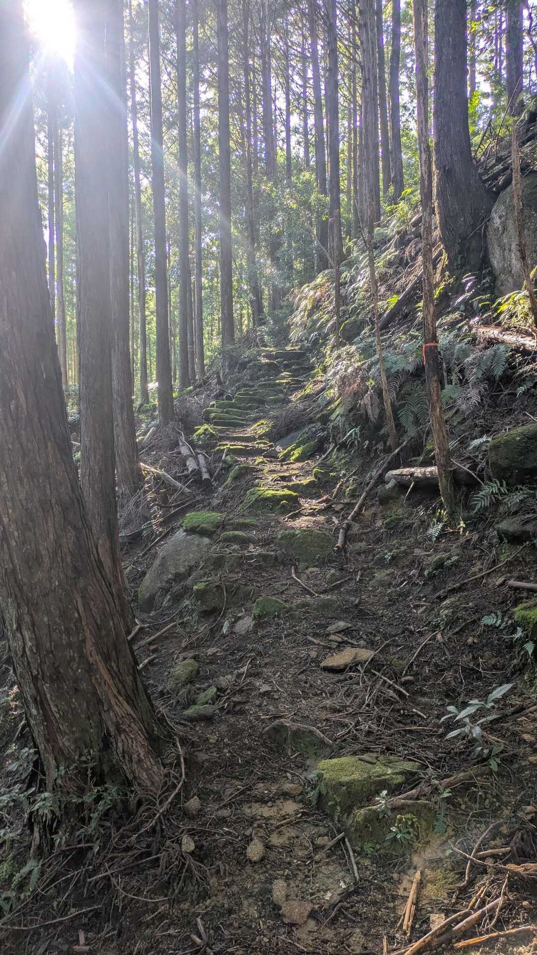 烏帽子山俵石登山口-烏帽子山 往復コースの写真