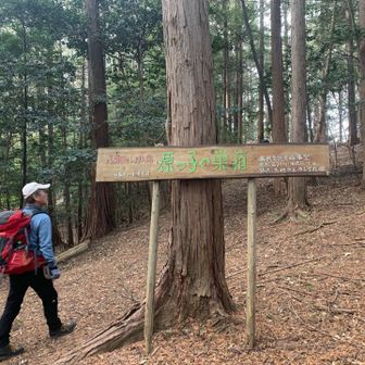 原っ子の巣箱の標識