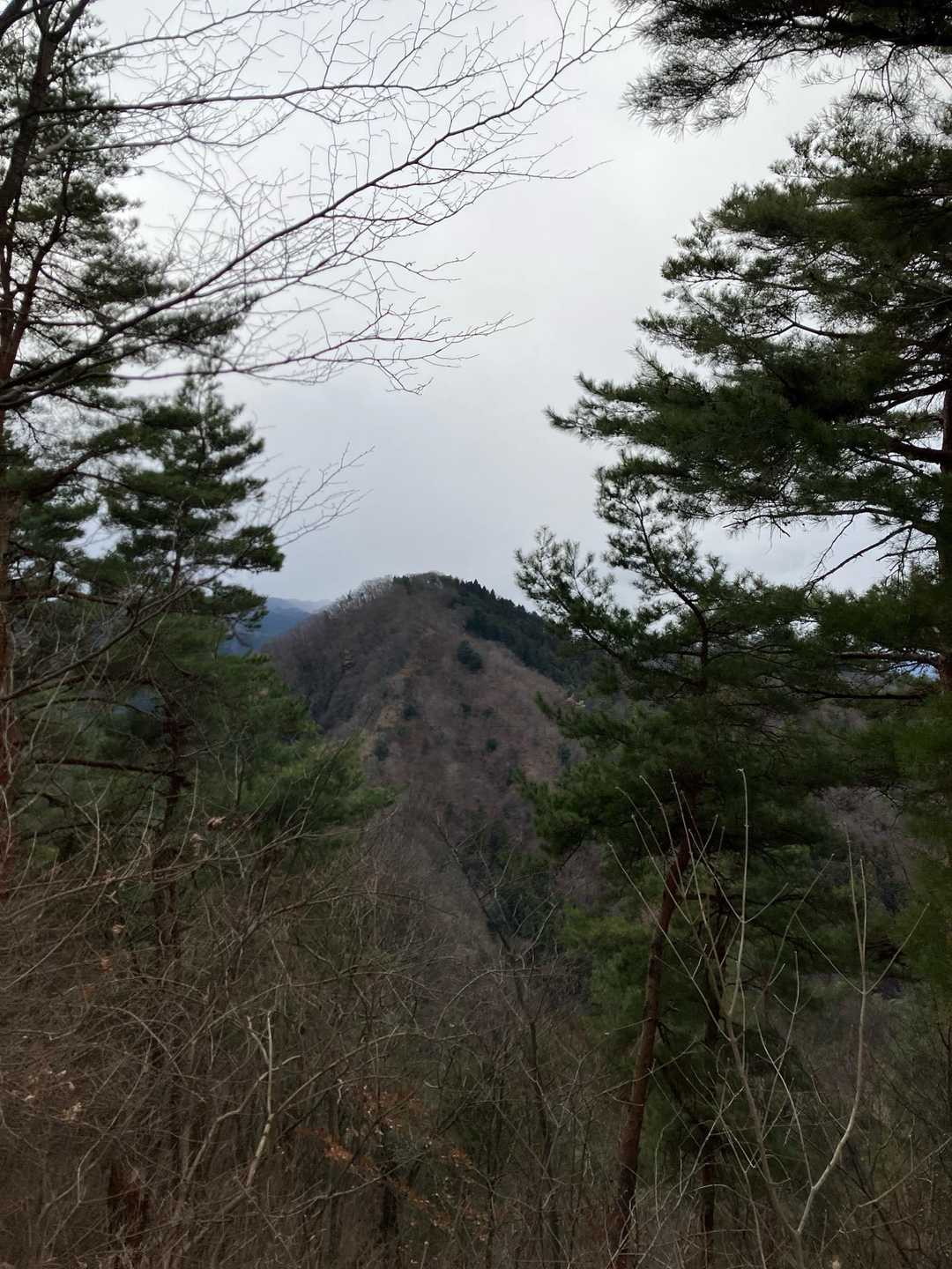 吉井三山のお隣りの城山が見えています⛰️