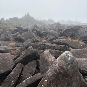 青笹尾根で下山します