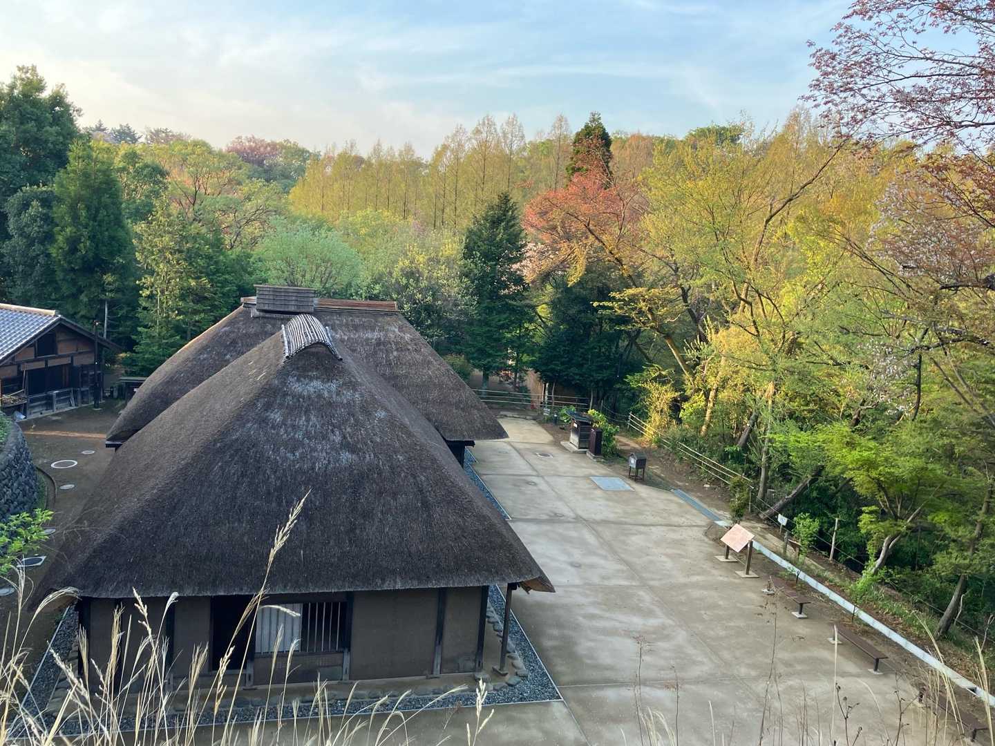 生田緑地 東口-枡形山 往復コースの写真