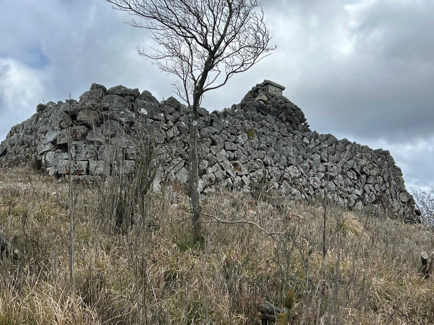 由良ヶ岳-由良ヶ岳 縦走コースの写真