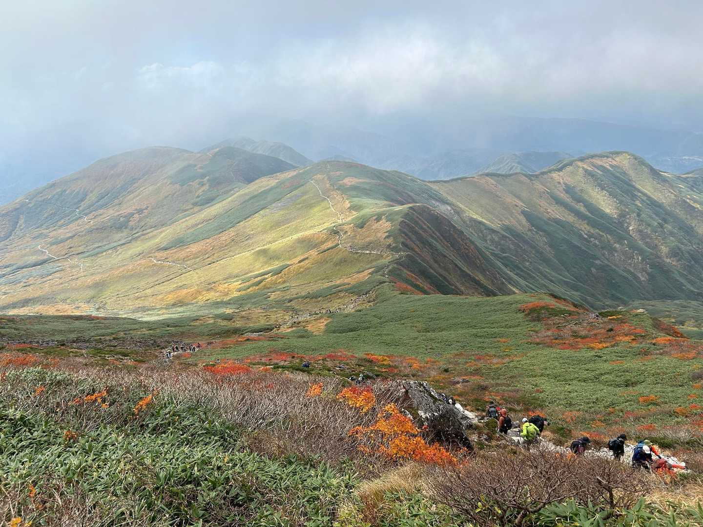 ずーっと続いている登山道⛰️