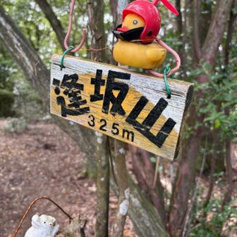 逢坂山⛰️
ここの景色が、こちら💁
