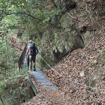 落ち葉がありましたが、二人とも山ビルの被害なし