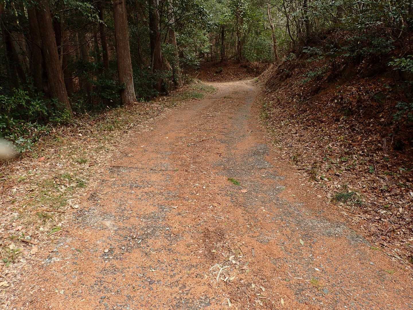 車道に出ました❗️