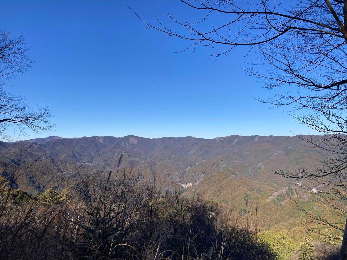 竹寺-豆口峠-子ノ山 往復コースの地図・登山ルート・登山口情報