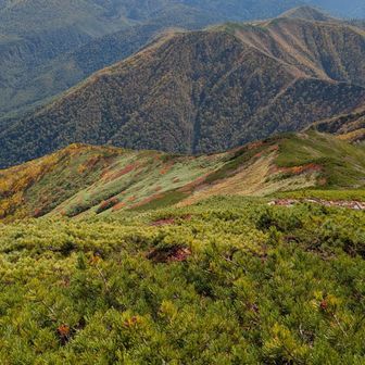 ニペ山頂から正面が山頂尖ったニペソツ山です。
やはりカッコいいなぁ
ニペソツ山も行程ひたすら長い。数年前あんな所に良く行けたなぁ😅
感慨深い