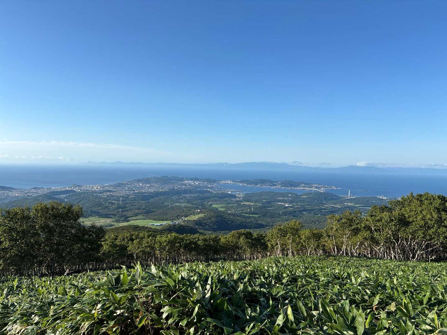 室蘭岳登山口-鷲別岳-825ピーク 周回コースの写真