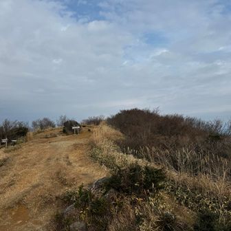羽金山のピカピカは肉眼では見えてました🗼
貸切りの雷山なのに景色はイマイチ⚡️