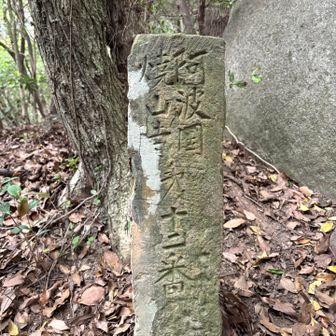 阿波国焼山寺第12番とあります。
四国霊場12番札所 焼山寺と何らかの縁があるのだろうか…