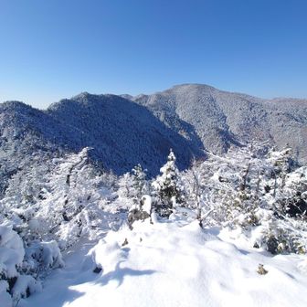 思ったより雪が積もっていて驚きの白さ、目指す三宝山はまだ遠い