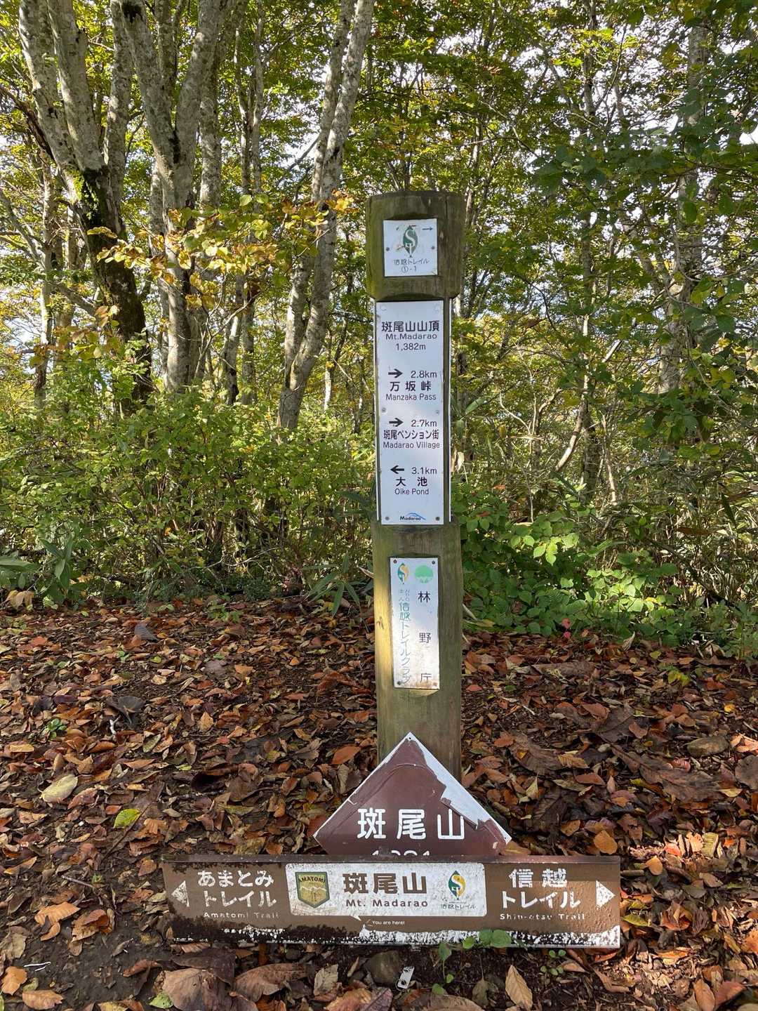 着きました❣️