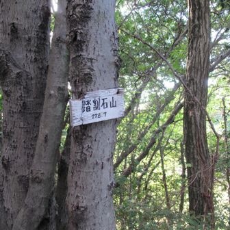 踏割石山　279m
ふみわりいしやま