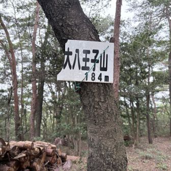 ここは群馬だけど、八王子が続きます。