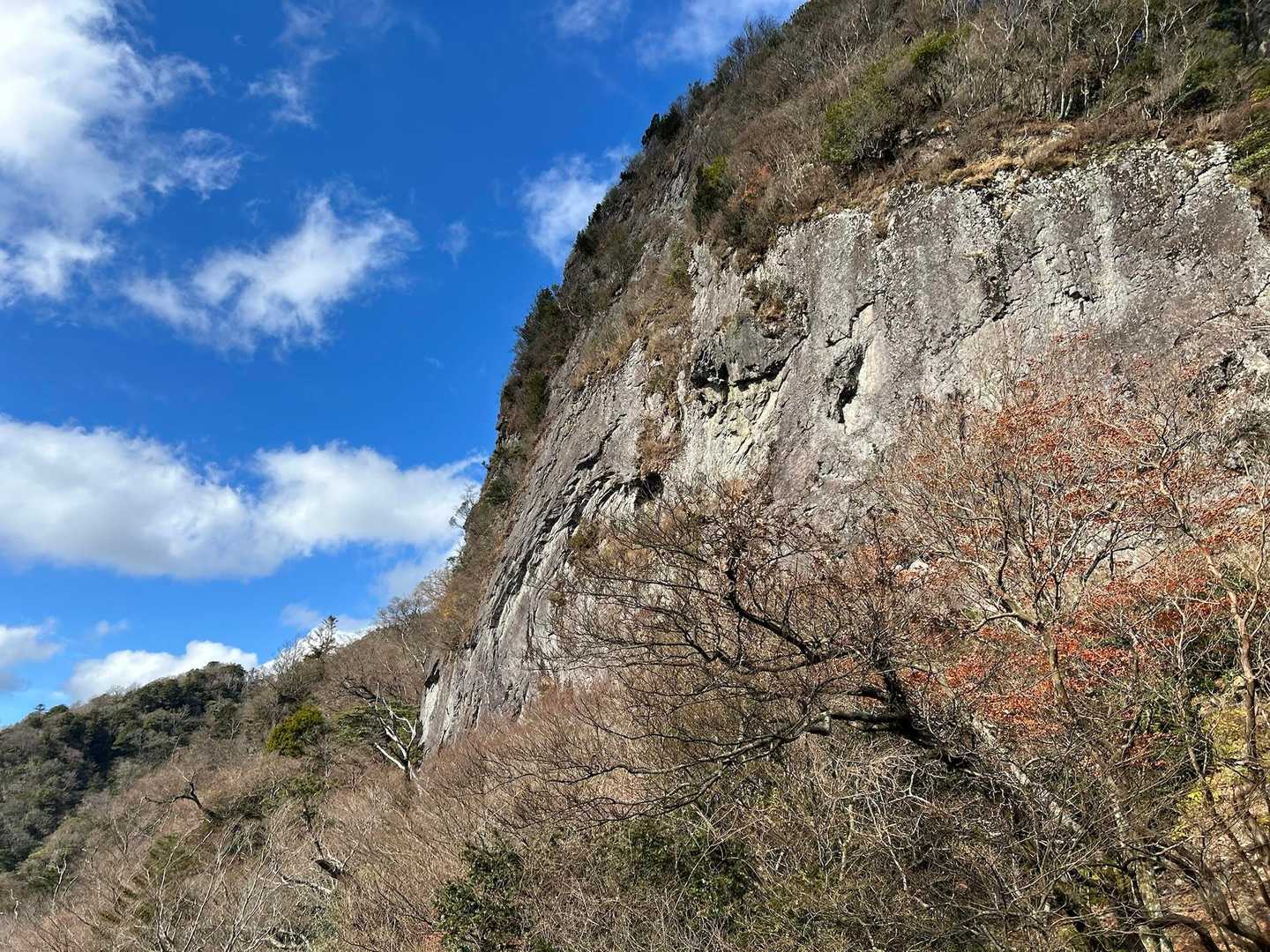 一年振りに見た