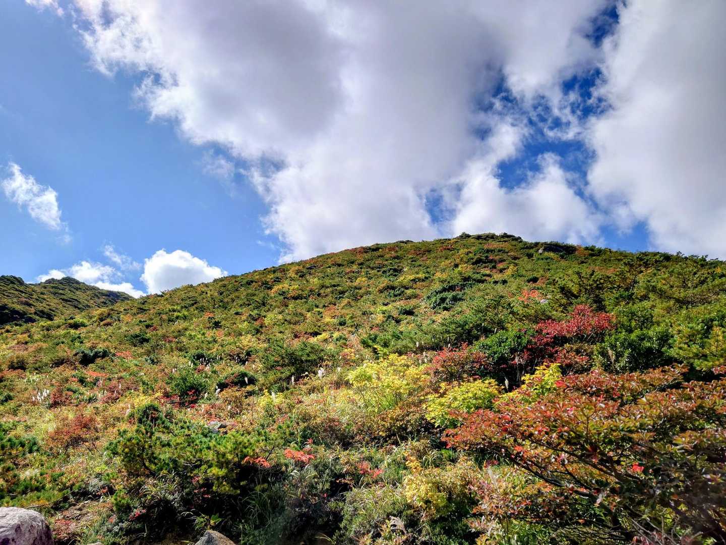 奥岳登山口-携帯トイレブース 往復コースの写真