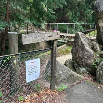 駐車場の脇からスタート
全然見つけられなくて、駐車場付近を行ったり来たり。地図見直して駐車場の中だということご分かった○