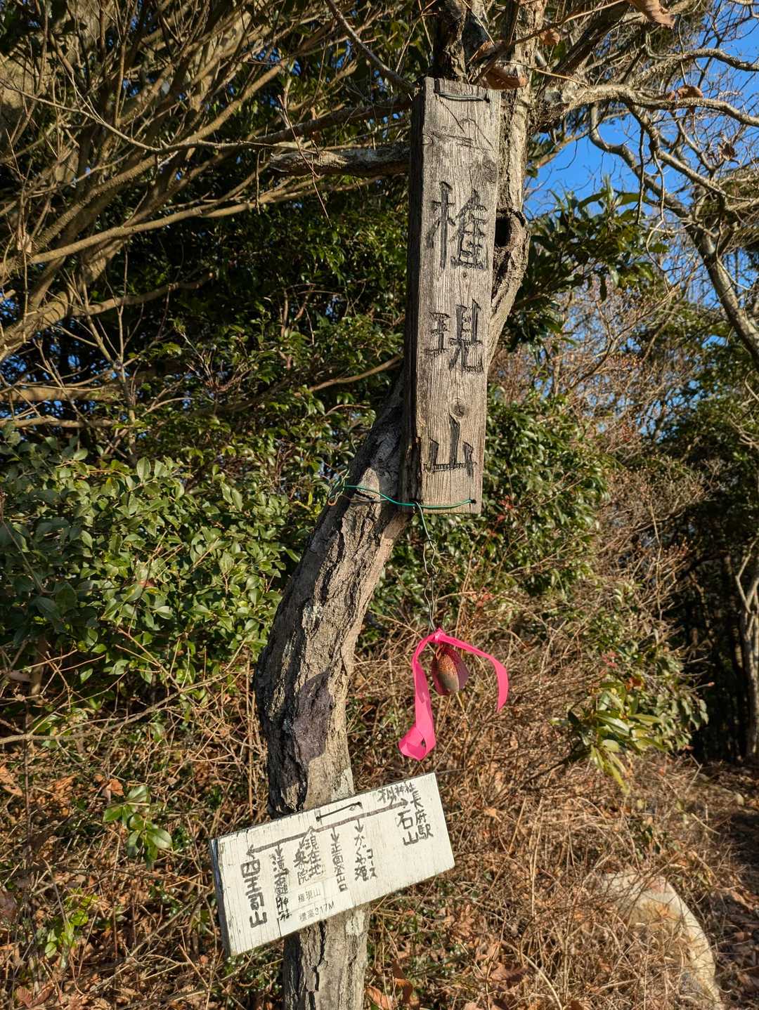 権現山(317m)で、
一休みです😐