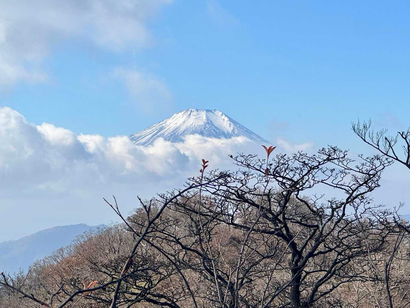 全身を見せてくれない奥ゆかしい富士山