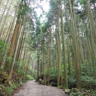 百ヶ辻から。前回はミャクミャクに会いにいったなぁ🤗