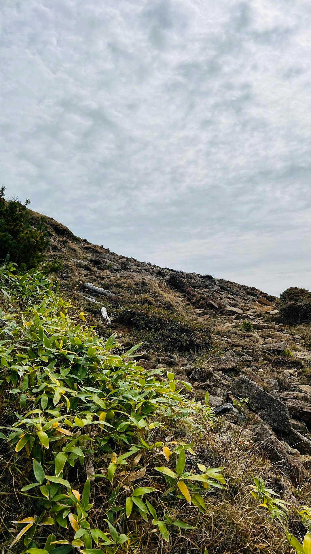 横手山 往復コースの写真