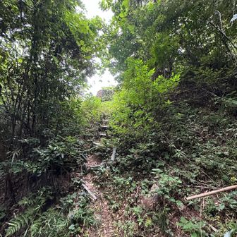 右方向に入ると、階段が見えて…👀