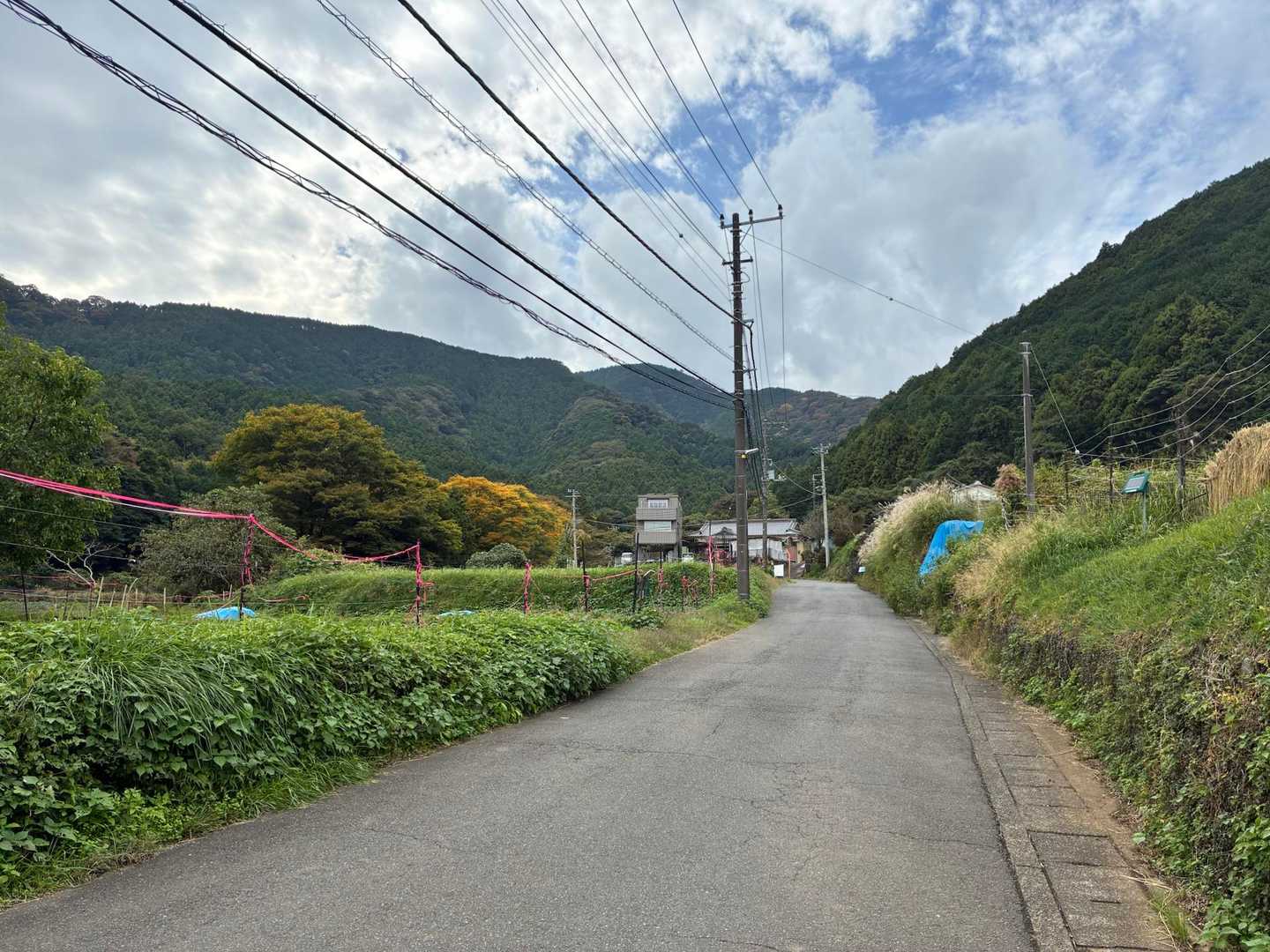いい天気でした！