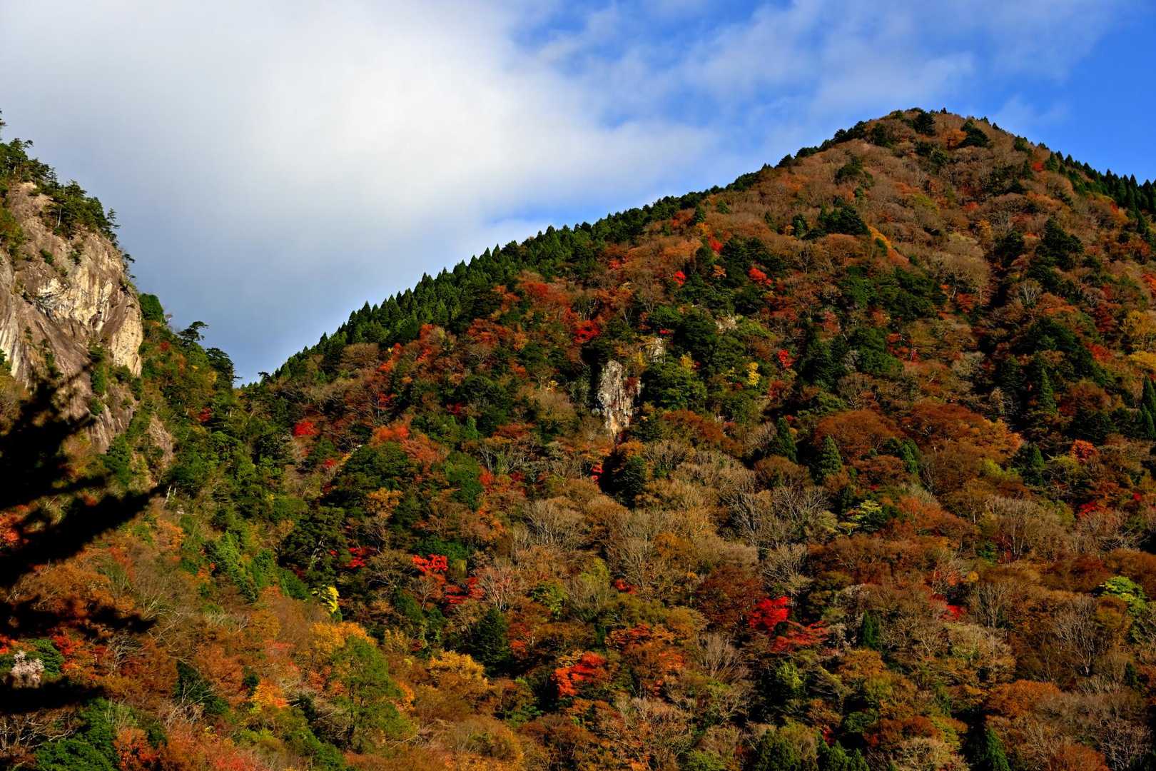 大天井岳-雪彦山 周回コースの写真