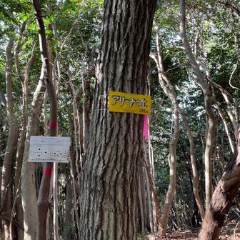 5分足らずでアリーナヶ丘