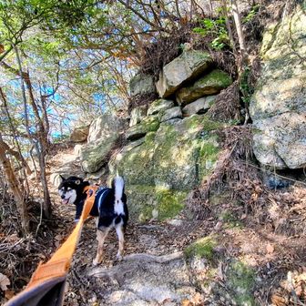 
登りやすい岩場と思いきや