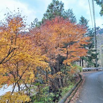 舗装路を歩いて駐車場に戻ります