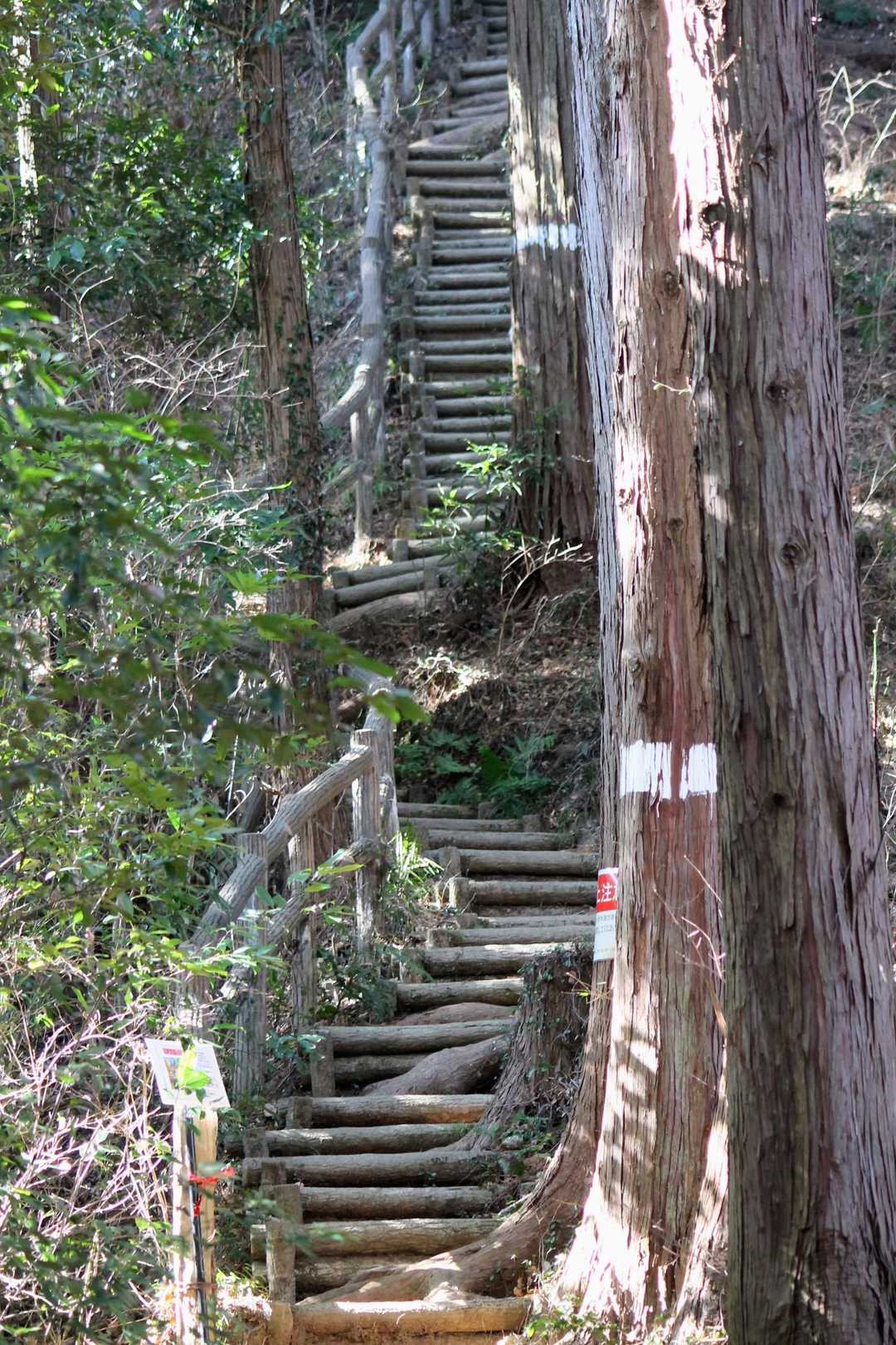 長い階段を縦構図で
