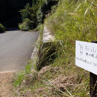↑林道へ出た。