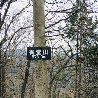 着きましたぁ。木々の間から妙義山中之嶽神社がよく見えます。